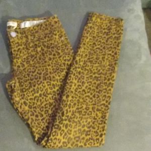 Cheetah Print Indigo Rein Jeans